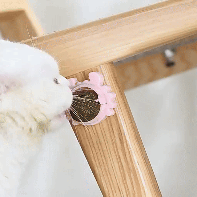 Miniatura 11 de Juguete Para Gatos Anti Estrés AHY03